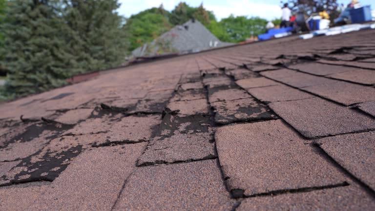 Best Roof Coating and Sealing  in Chickasaw, AL