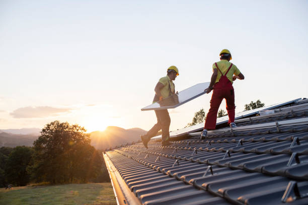 Best Roof Moss and Algae Removal  in Chickasaw, AL