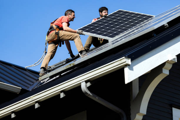 Best Skylight Installation and Repair  in Chickasaw, AL