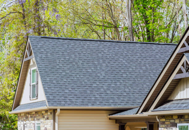 Best Rubber Roofing (EPDM, TPO)  in Chickasaw, AL